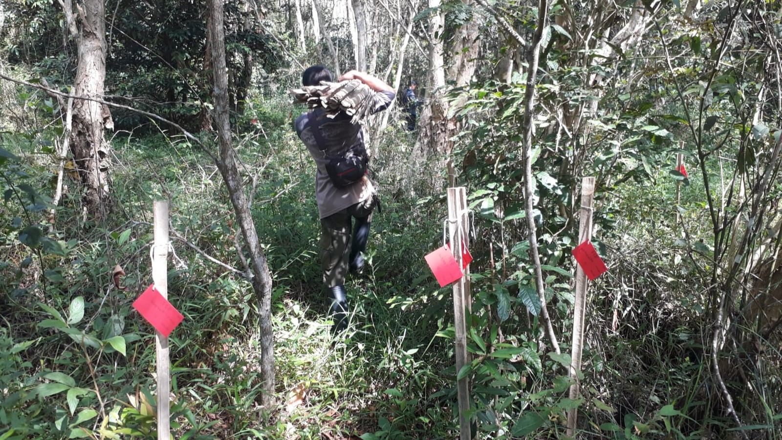 Penyelamatan Anakan Alam Tumbuhan di Tahura Bunder