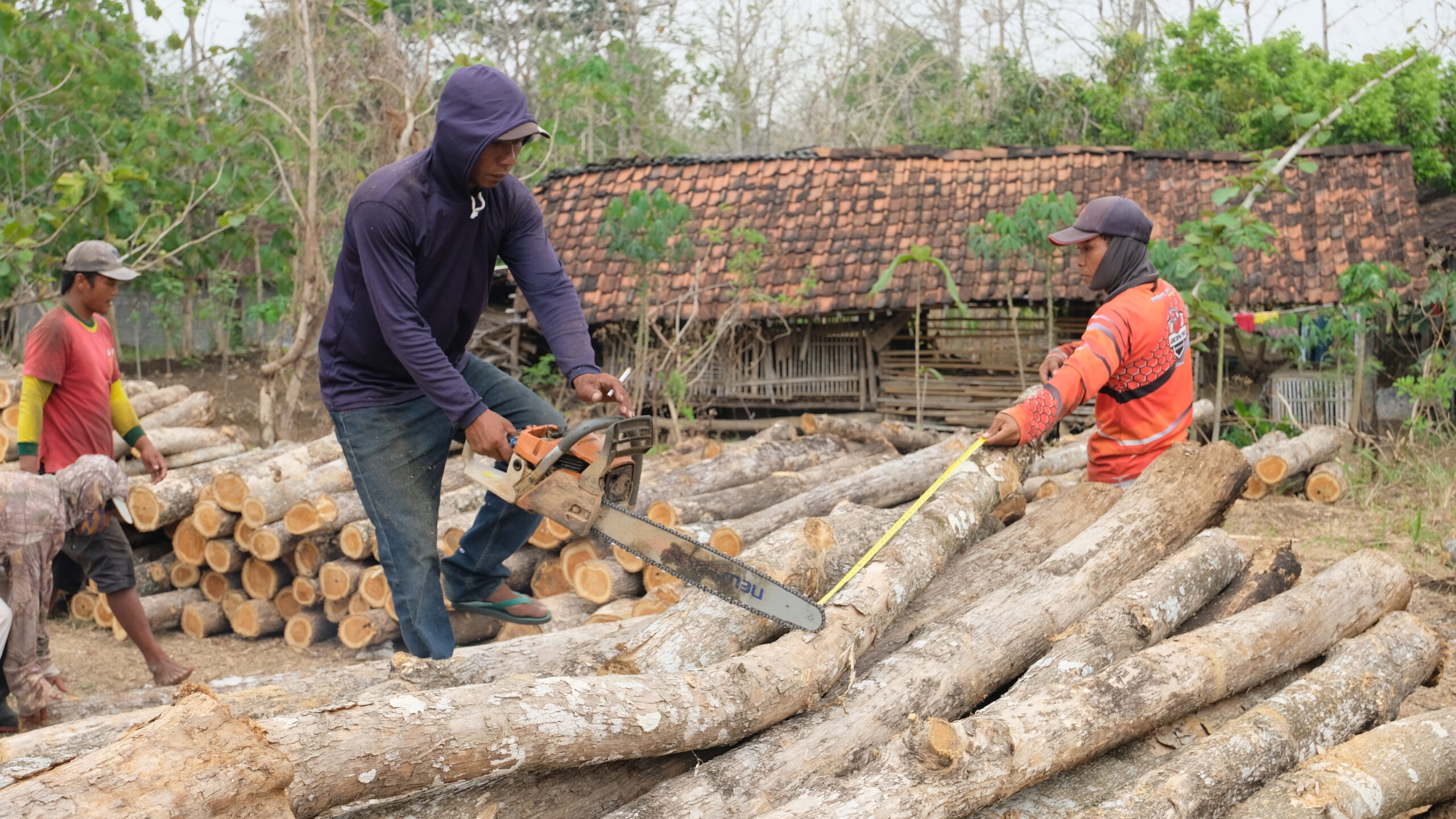 Pembelian Hasil Hutan Kayu Bulat Jati dan Rimba Tahun 2024