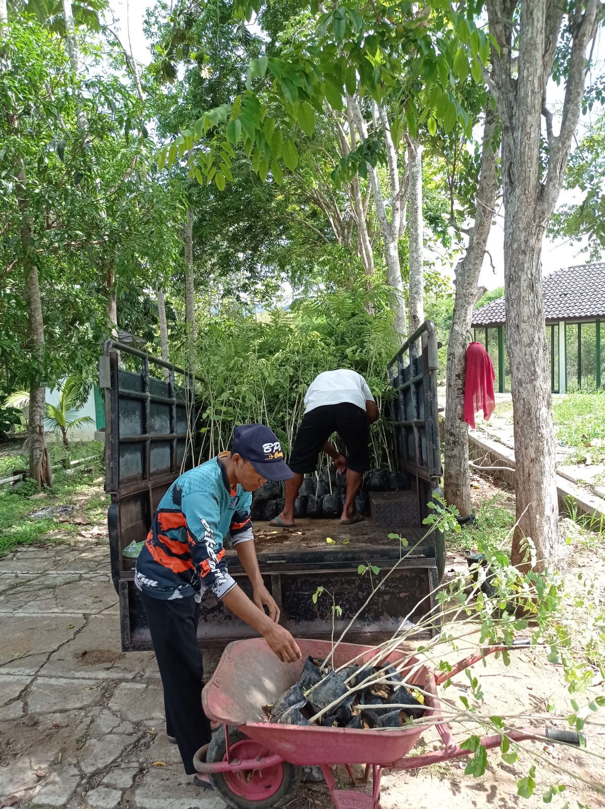 Bantuan Bibit (5)