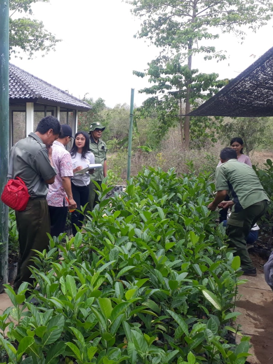Mutu Bibit