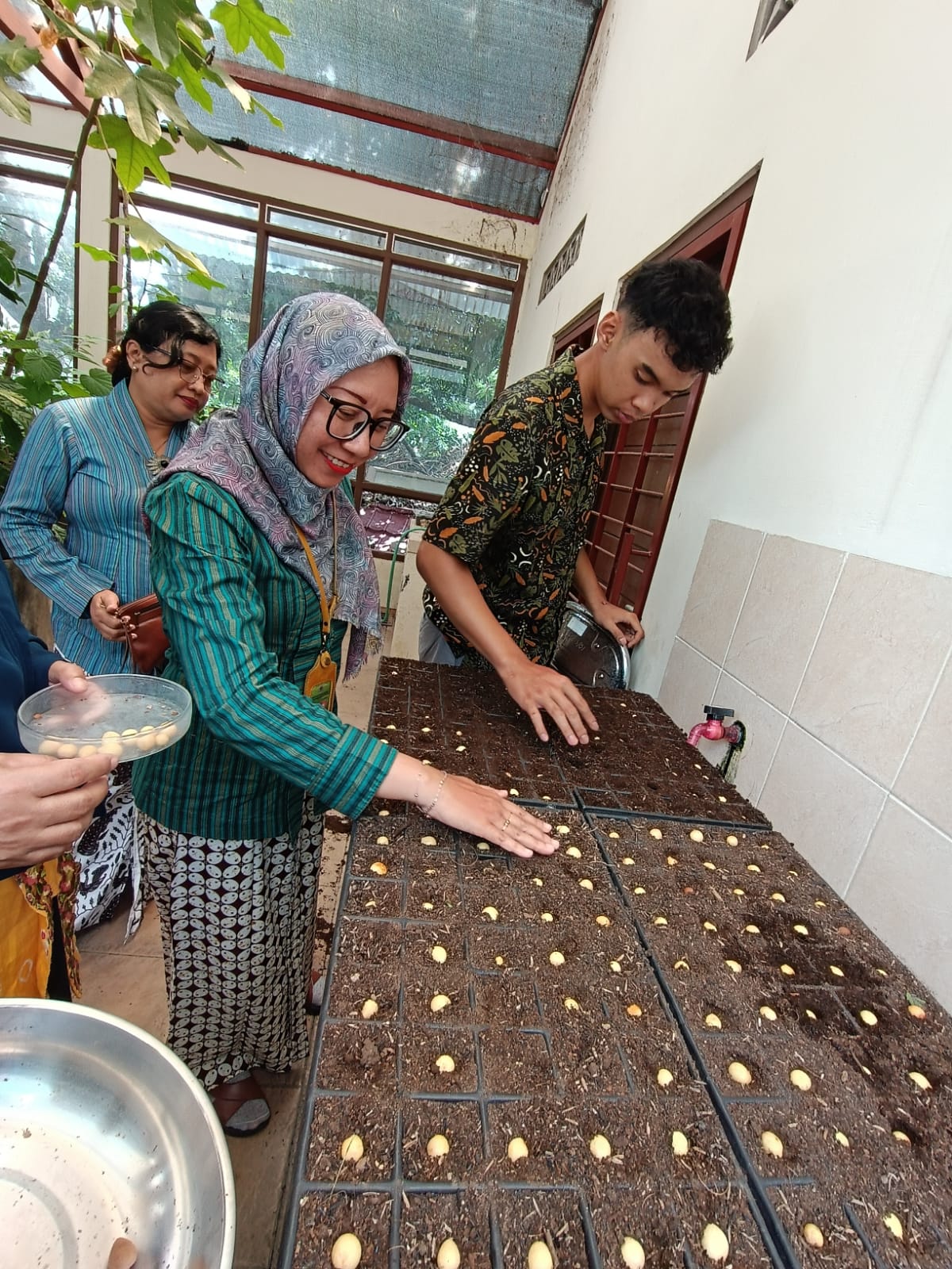 Sertifikasi Benih