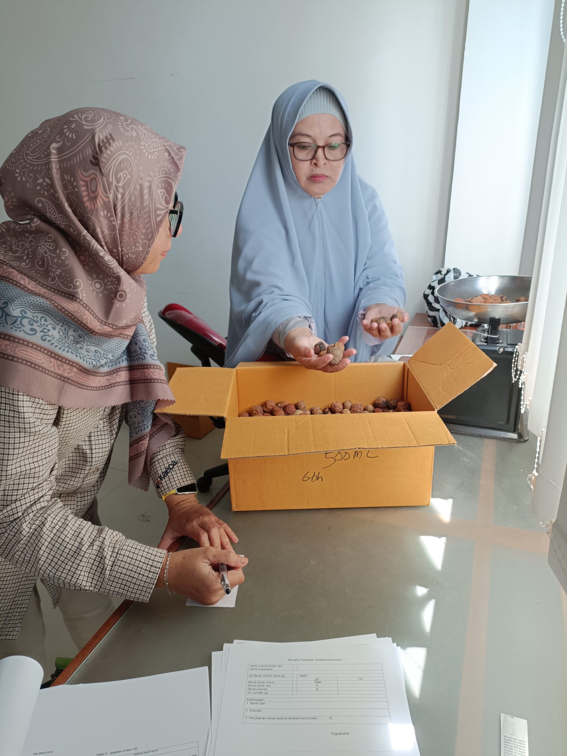 Sertifikasi Benih Nyamplung (1)