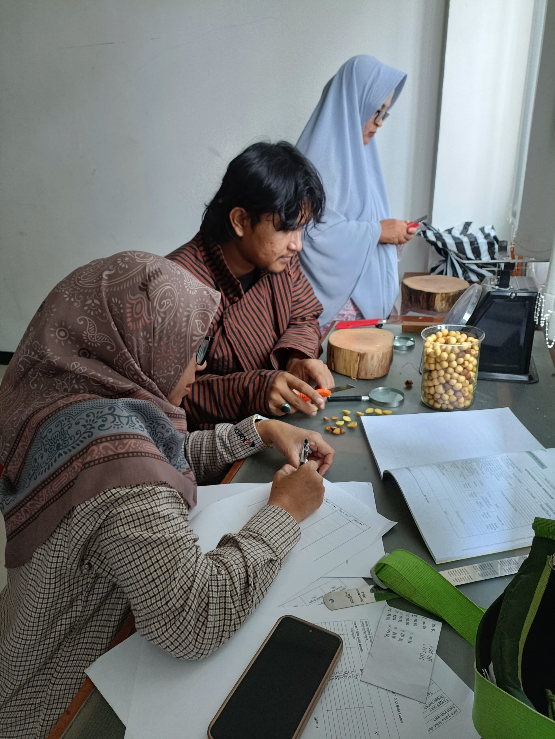 Sertifikasi Benih Nyamplung (3)
