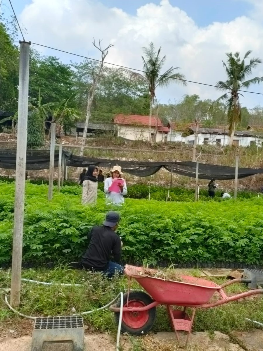 Sertifikasi Persemaian Bunder