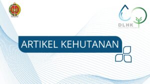 Kakao Sebagai Peluang Peningkatan Ekonomi