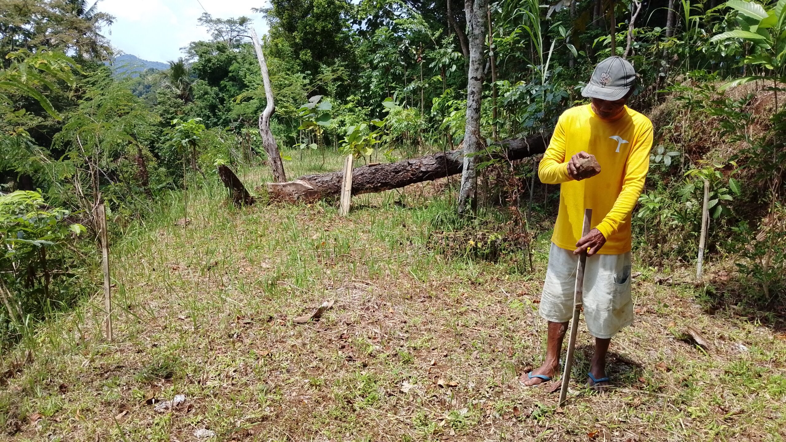 filter: 0; fileterIntensity: 0.0; filterMask: 0; hdrForward: 0; brp_mask:0;
brp_del_th:null;
brp_del_sen:null;
delta:null;
module: photo;hw-remosaic: false;touch: (-1.0, -1.0);sceneMode: 2;cct_value: 0;AI_Scene: (-1, -1);aec_lux: 0.0;aec_lux_index: 0;HdrStatus: auto;albedo:  ;confidence:  ;motionLevel: -1;weatherinfo: null;temperature: 36;