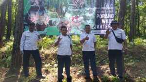 Panen Cuan dari Bawah Tegakan