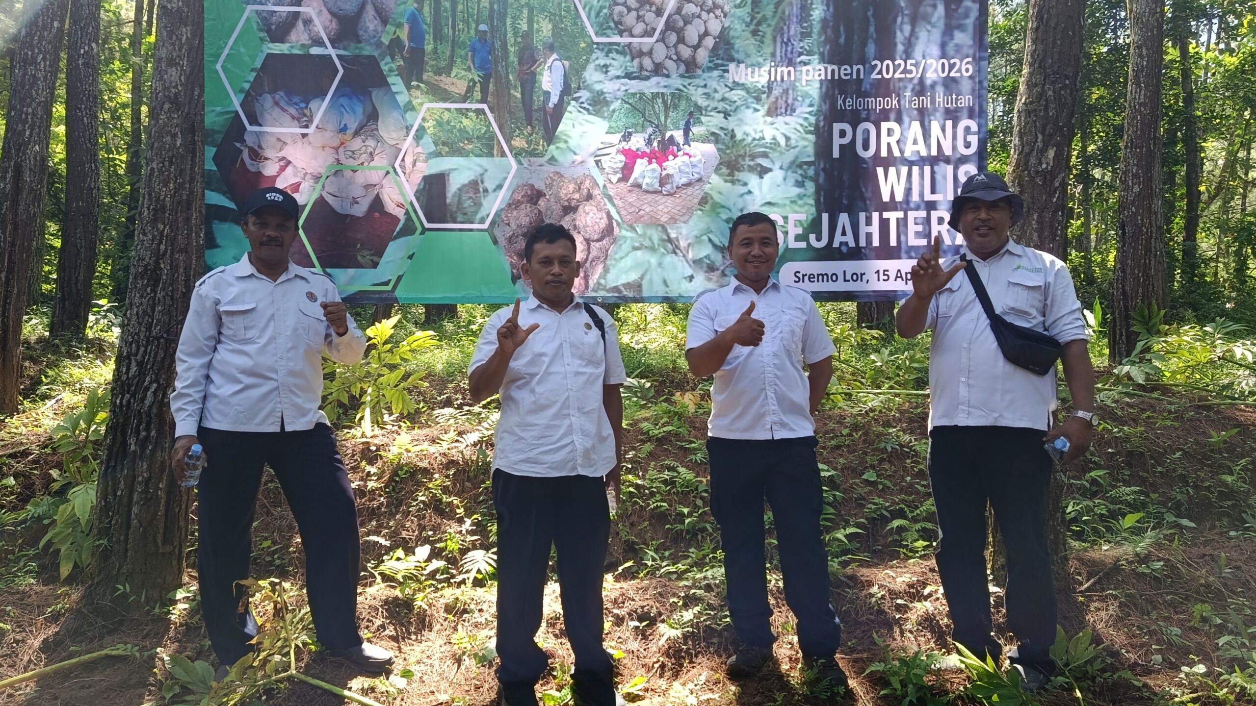 Panen Cuan dari Bawah Tegakan